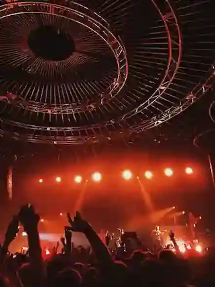 Photo d'un concert de Aaron Paul